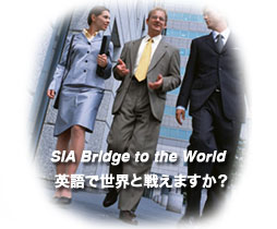 SIA Bridge to the World
